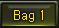 BAG 1